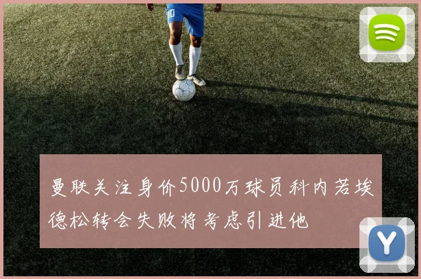 曼联关注身价5000万球员科内若埃德松转会失败将考虑引进他