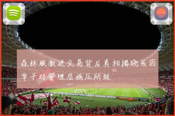 森林狼激进交易背后真相揭晓或因华子对管理层施压所致